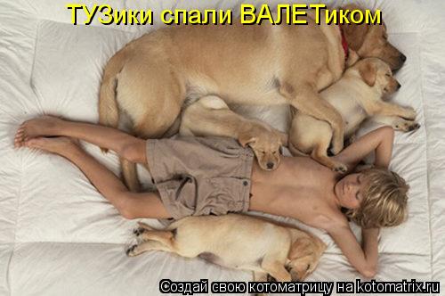 ТУЗики спали ВАЛЕТиком... Котоматрица: ТУЗики спали ВАЛЕТиком