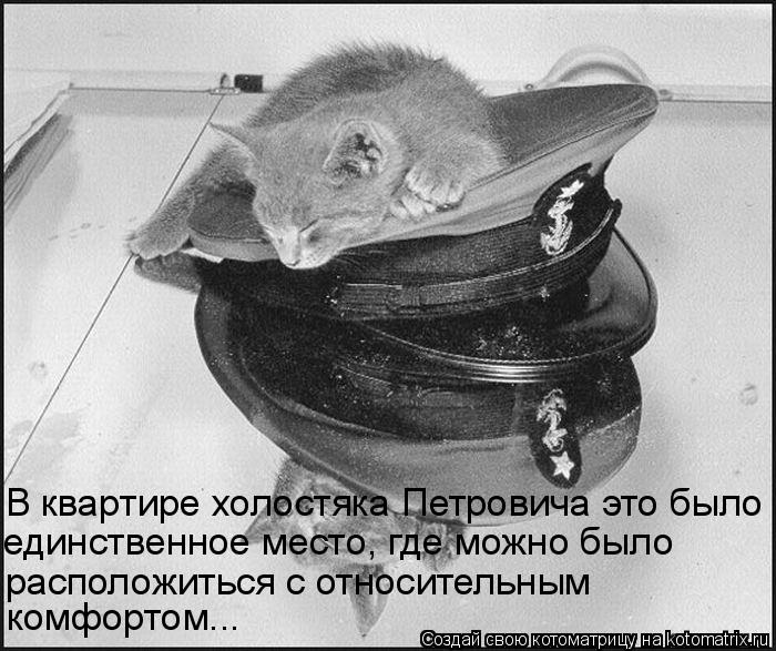 Котоматрица: В квартире холостяка Петровича это было  единственное место, где можно было расположиться с относительным комфортом...
