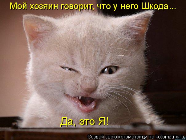 Да, это Я! Мой хозяин говорит, что у него Шкода...... Котоматрица: Да, это Я! Мой хозяин говорит, что у него Шкода...