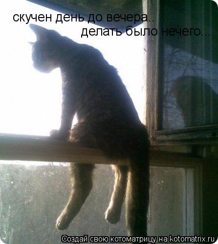 скучен день до вечера.. делать было нечего...... Котоматрица: скучен день до вечера.. делать было нечего...