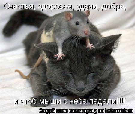 Счастья, здоровья, удачи, добра, и чтоб мыши с неба падали!!!!... Котоматрица: Счастья, здоровья, удачи, добра, и чтоб мыши с неба падали!!!!