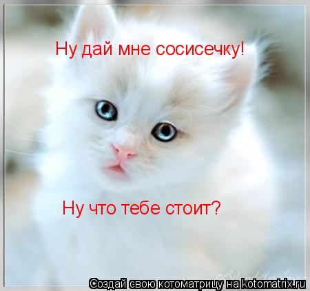 Котоматрица: Ну дай мне сосисечку! Ну что тебе стоит?