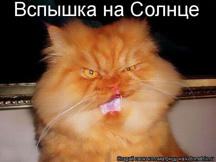 Котоматрица: Вспышка на Солнце
