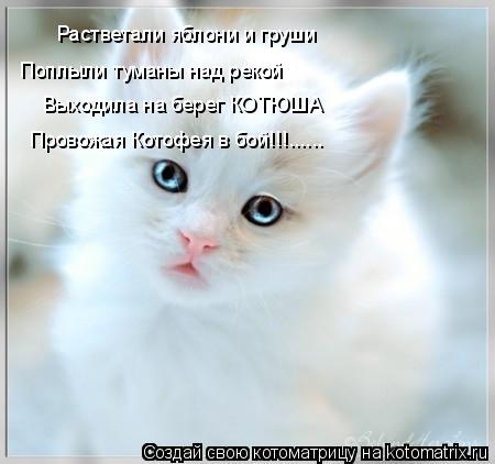 Котоматрица: Растветали яблони и груши Поплыли туманы над рекой Выходила на берег КОТЮША Провожая Котофея в бой!!!......