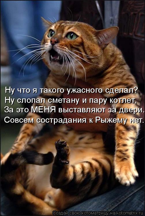 Ну что я такого ужасного сделал? Ну слопал сметану и пару котлет, За это МЕНЯ выставляют за двери... ... Котоматрица: Ну что я такого ужасного сделал? Ну слопал сметану и пару котлет, За это МЕНЯ выставляют за двери... Совсем сострадания к Рыжему нет.