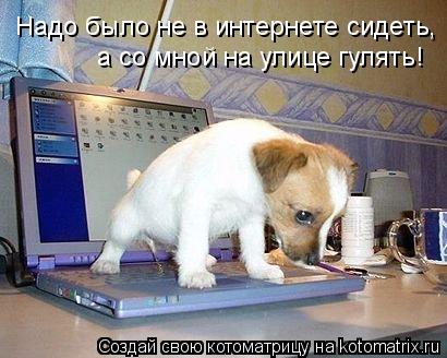 Надо было не в интернете сидеть, а со мной на улице гулять!... Котоматрица: Надо было не в интернете сидеть, а со мной на улице гулять!