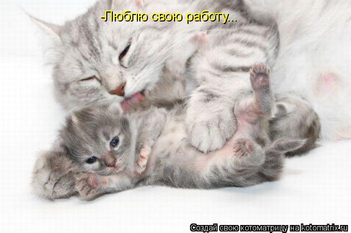 -Люблю свою работу...... Котоматрица: -Люблю свою работу...