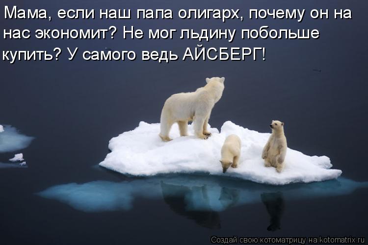 Котоматрица: Мама, если наш папа олигарх, почему он на нас экономит? Не мог льдину побольше  купить? У самого ведь АЙСБЕРГ!