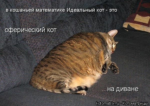 ...на диване в кошачьей математике Идеальный кот - это сферический кот... Котоматрица: ...на диване в кошачьей математике Идеальный кот - это сферический кот
