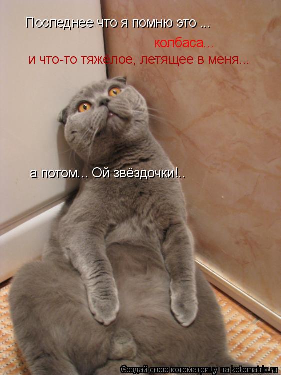 Котоматрица: Последнее что я помню это ... колбаса... а потом... Ой звёздочки!.. и что-то тяжёлое, летящее в меня...