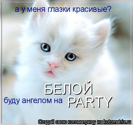 Котоматрица: а у меня глазки красивые? буду ангелом на БЕЛОЙ PARTY