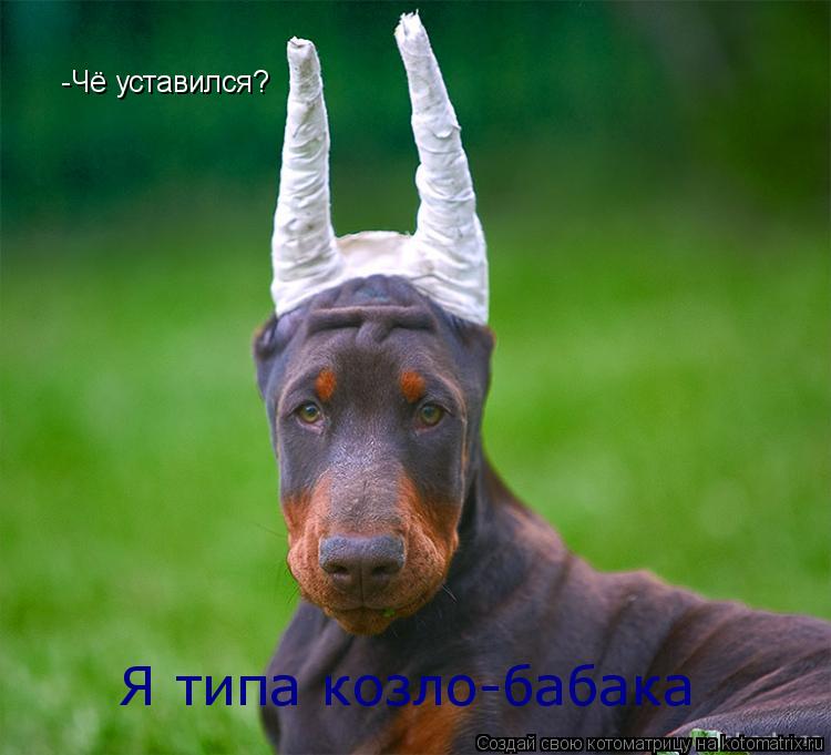 Котоматрица: -Чё уставился?   Я типа козло-бабака