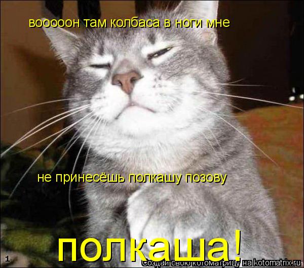 Котоматрица: вооооон там колбаса в ноги мне не принесёшь полкашу позову полкаша!