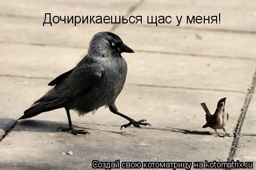 Котоматрица: Дочирикаешься щас у меня!