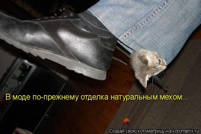 Котоматрица: В моде по-прежнему отделка натуральным мехом...