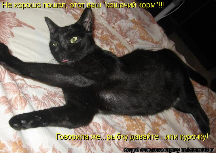 Котоматрица: Не хорошо пошел, этот ваш "кошачий корм"!!! Говорила же...рыбку давайте...или курочку!