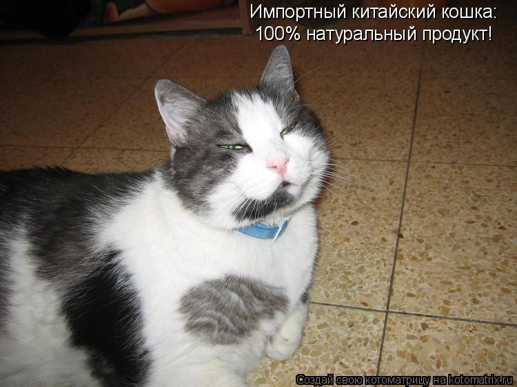 Котоматрица: Импортный китайский кошка: 100% натуральный продукт!