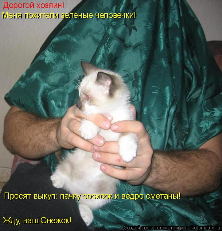 Котоматрица: Дорогой хозяин! Меня похители зеленые человечки! Просят выкуп: пачку сосисок и ведро сметаны! Жду, ваш Снежок!