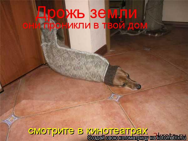 Котоматрица: Дрожь земли они проникли в твой дом смотрите в кинотеатрах