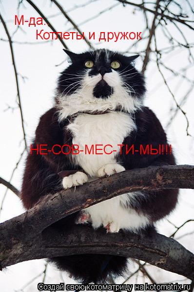 Котоматрица: М-да.. Котлеты и дружок НЕ-СОВ-МЕС-ТИ-МЫ!!!