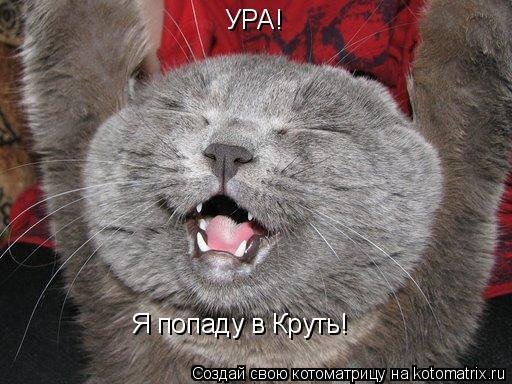 Котоматрица: УРА! Я попаду в Круть!
