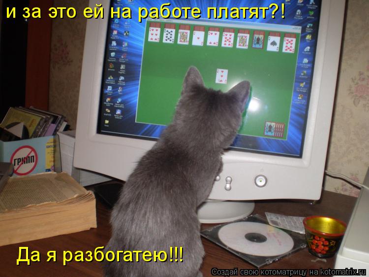 Котоматрица: и за это ей на работе платят?! Да я разбогатею!!!
