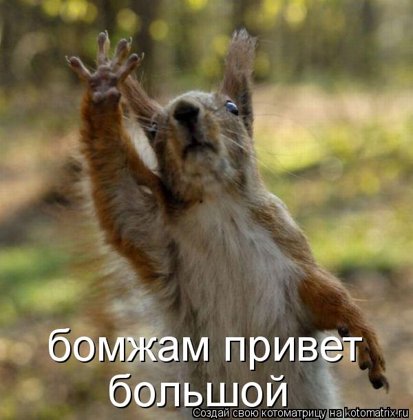 Котоматрица: бомжам привет большой