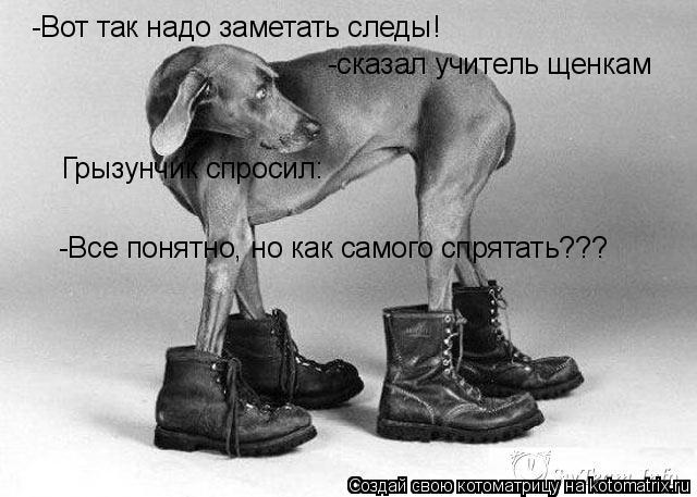 Котоматрица: -Вот так надо заметать следы! -сказал учитель щенкам Грызунчик спросил: -Все понятно, но как самого спрятать???