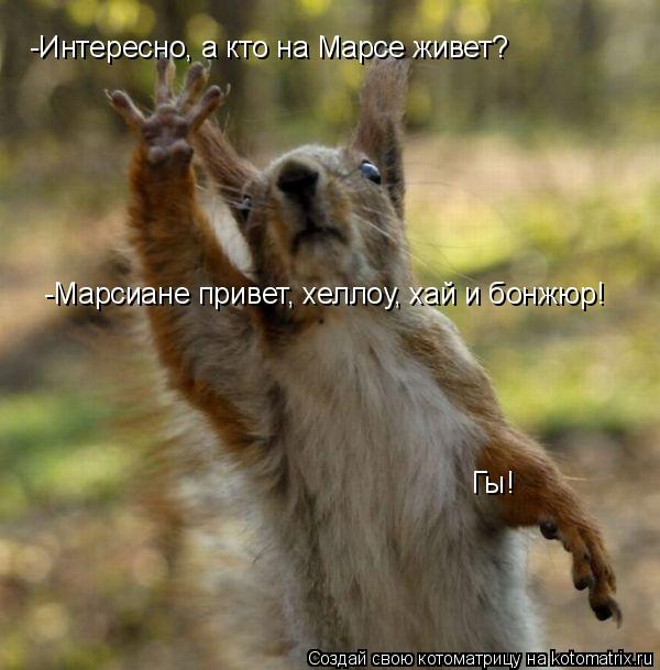 Котоматрица: -Интересно, а кто на Марсе живет? -Марсиане привет, хеллоу, хай и бонжюр! Гы!