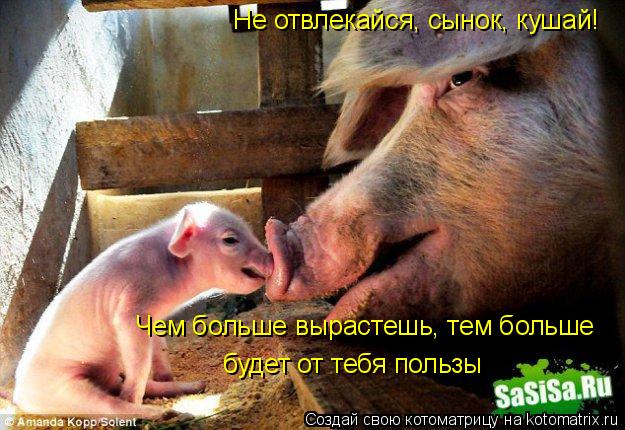 Котоматрица: Не отвлекайся, сынок, кушай! Чем больше вырастешь, тем больше будет от тебя пользы