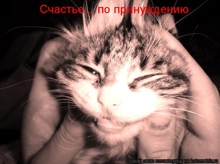 Котоматрица: Счастье... по принуждению