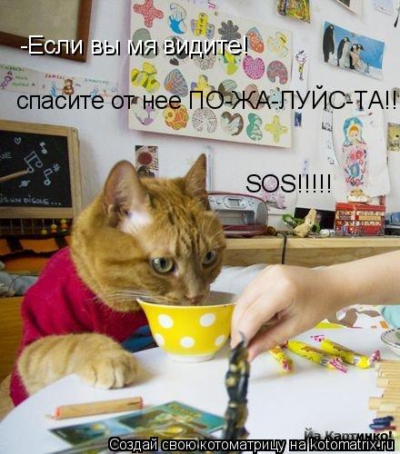 Котоматрица: -Если вы мя видите!  спасите от нее ПО-ЖА-ЛУЙС-ТА!! SOS!!!!!