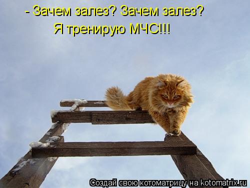 Котоматрица: - Зачем залез? Зачем залез? Я тренирую МЧС!!!