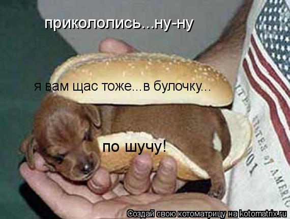 Котоматрица: прикололись...ну-ну я вам щас тоже...в булочку... по шучу!