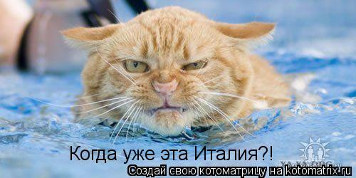 Котоматрица: Когда уже эта Италия?!