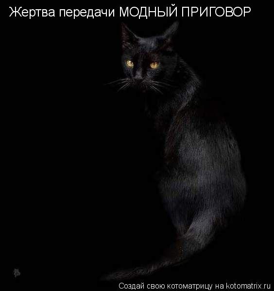 Жертва передачи МОДНЫЙ ПРИГОВОР... Котоматрица: Жертва передачи МОДНЫЙ ПРИГОВОР