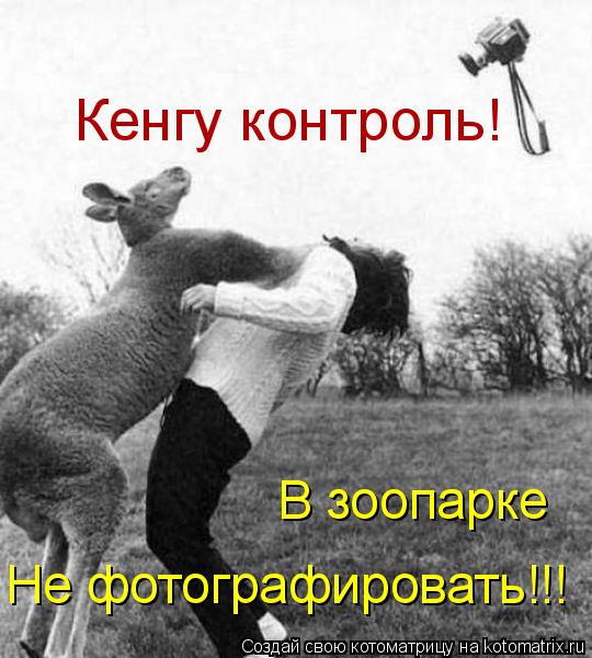 Котоматрица: Кенгу контроль! В зоопарке  Не фотографировать!!!