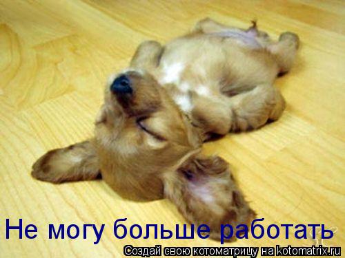 Котоматрица: Не могу больше работать