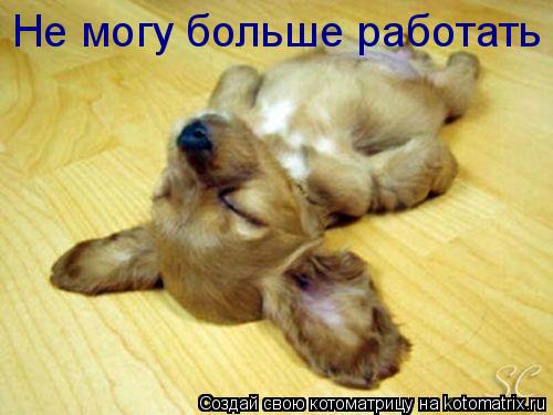 Котоматрица: Не могу больше работать