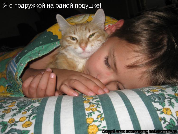 Котоматрица: Я с подружкой на одной подушке!
