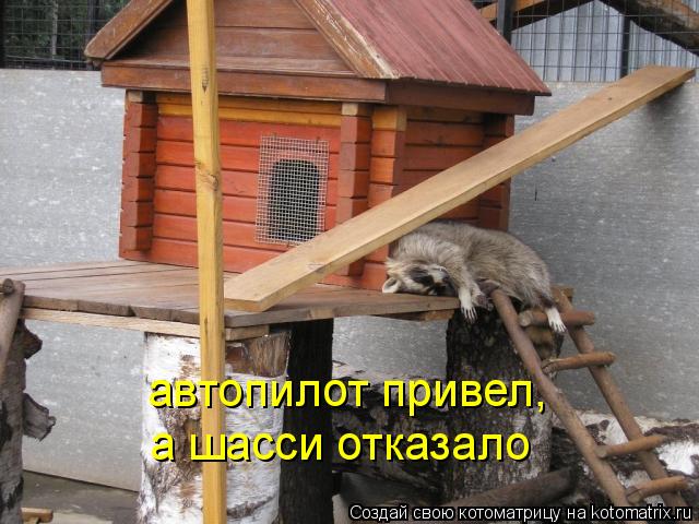 Котоматрица: автопилот привел, а шасси отказало