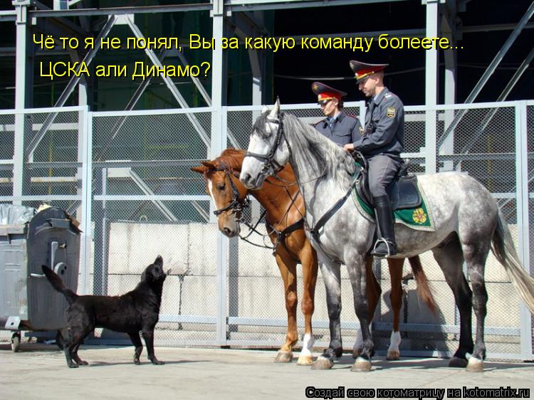 Котоматрица: Чё то я не понял, Вы за какую команду болеете...  ЦСКА али Динамо?