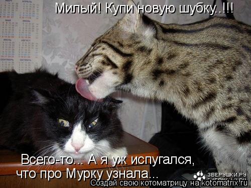 Котоматрица: Милый! Купи новую шубку..!!! Всего-то... А я уж испугался,  что про Мурку узнала...
