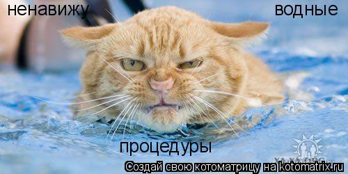 Котоматрица: ненавижу  водные процедуры