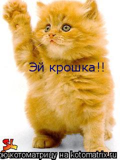 Котоматрица: Эй крошка!!