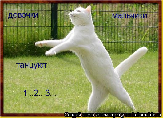 Котоматрица: девочки мальчики танцуют 1...2...3...