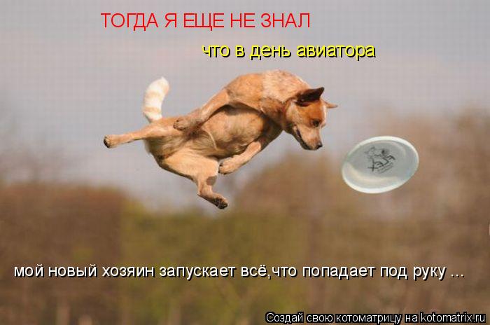 Котоматрица: ТОГДА Я ЕЩЕ НЕ ЗНАЛ что в день авиатора мой новый хозяин запускает всё,что попадает под руку ...