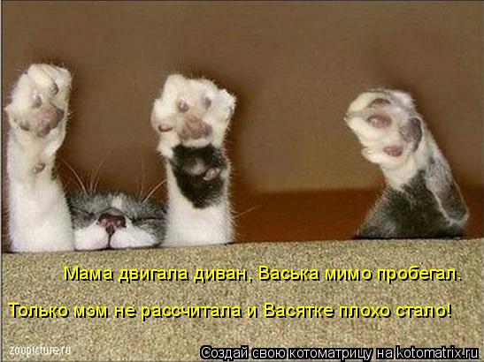 Котоматрица: Мама двигала диван, Васька мимо пробегал. Только мэм не рассчитала и Васятке плохо стало!