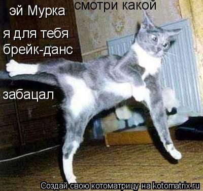Котоматрица: эй Мурка смотри какой я для тебя брейк-данс забацал