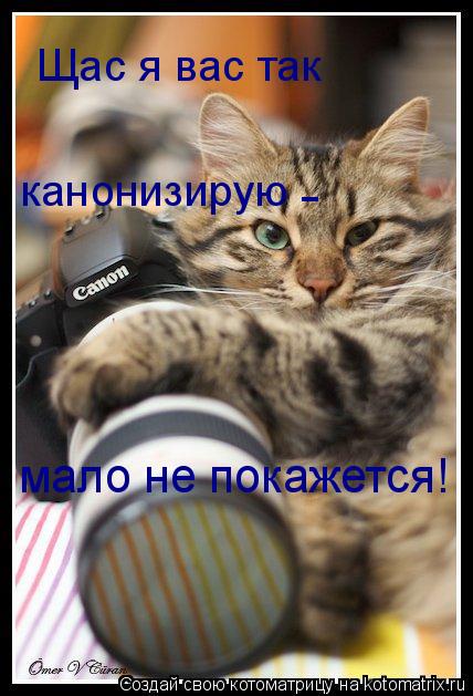 Котоматрица: Щас я вас так канонизирую - мало не покажется!